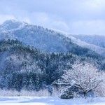 2016年PPCアフィリの1月途中経過