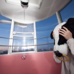 今週はPPCアフィリエイトの調子が悪いっす・・・