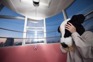 今週はPPCアフィリエイトの調子が悪いっす・・・