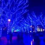 やはり12月は好調です!実際私も通販で買い物ばかりしてますからね(笑)
