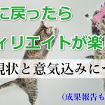初心に戻ったら、またPPCアフィリエイトが楽しくなった話